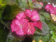 -院子餐厅·大锅菜·老杭帮(桥西直街店)