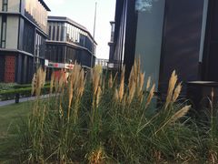 -星巴克(深圳前海企业公馆店)