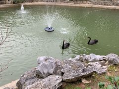-上海虹桥迎宾馆