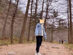 -秦岭风景区