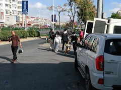 -三林塘老街