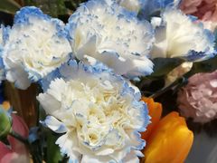 -爱尚幸福鲜花(上地实体店)