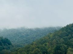 -灵山