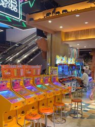 -卡通尼·Safari非洲探索乐园·生日会(金桥国际商业广场店)