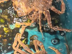 -拉完海鲜大排档(温岭店)