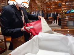-Hermes爱马仕(成都远洋太古里店)