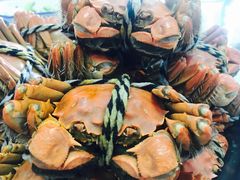 -丫丫蟹庄·苏式园林农家乐·阳澄湖大闸蟹(阳澄湖莲花岛店)