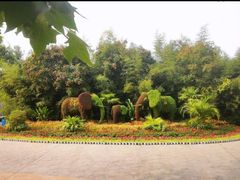 -石家庄市动物园