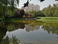 -木塔寺遗址生态公园