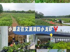 -艾溪湖湿地公园