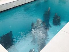-金泽21世纪美术馆
