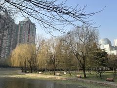 -团结湖公园