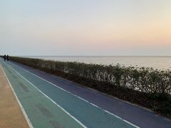 -贡湖湾湿地公园