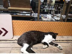 -平江历史文化街区-友苏美术馆