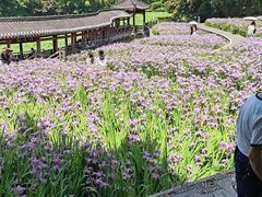 -龙头寺公园