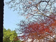 -中国茶叶博物馆(双峰馆区)