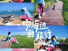 -秦皇岛阿尔卡迪亚滨海度假酒店