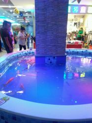 -堂堂乐儿童乐园(阳光100欧特福店)