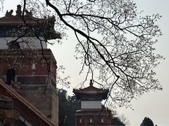 -颐和园