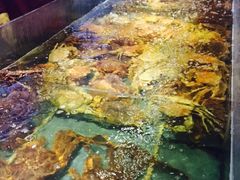 -蟹之国·精品蟹料理(极地店)