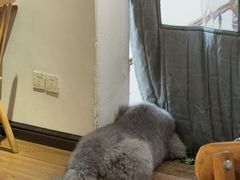 -沏点Trattoria意大利餐厅(新街口店)