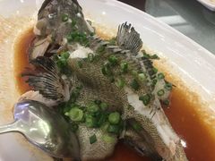 -金满楼(天河中路店)