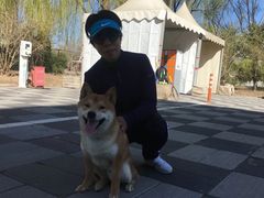 -朝阳公园体育中心