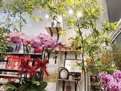 -FEI FEI FLOWER鲜花店·气球派对·宝宝宴布置(虹口德必运动Loft店)