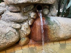 -三江森林温泉度假区