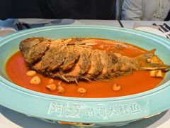 -阿五黄河大鲤鱼(英协路店)