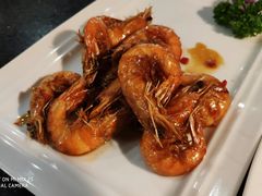 -云中小雅