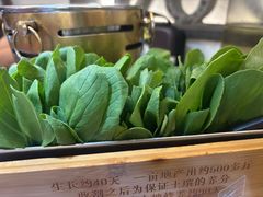 -卢大鲜鱼头捞饭(美利广场店)