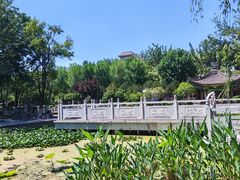 -莲湖公园