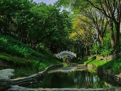 -北坞公园