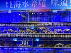 -青蓬蒸汽海鲜·深圳老字号·团建聚会(壹方城店)