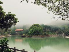 -广州市帽峰山景区