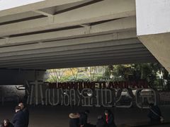 -沐仙湖湿地公园