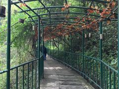 -溪口-滕头旅游景区