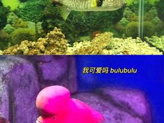 -泉州海丝野生动物世界