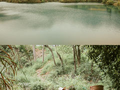 -龙坞茶村