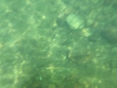 -安吉龙王山峡谷漂流