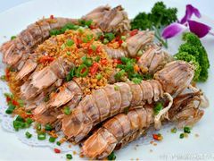 椒盐濑尿虾-源海渔村·现捞海鲜(大角湾店)
