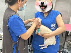 -宠福鑫康馨动物医院·骨科·眼科