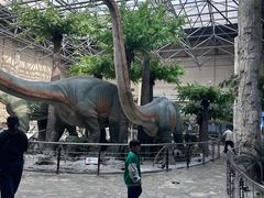 -国家自然博物馆