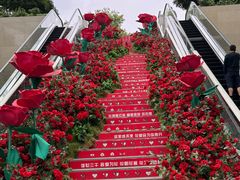 -北极阁公园