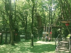 -WeLope紫金山探险公园