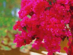 -广东工业大学(大学城校区)