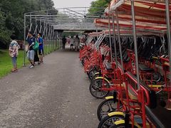 -永定河休闲森林公园