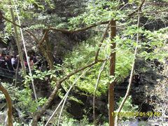 -藏龙百瀑风景区