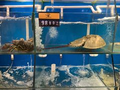 水产区-胖大嫂渔家排档·全海景餐厅(渔村店)